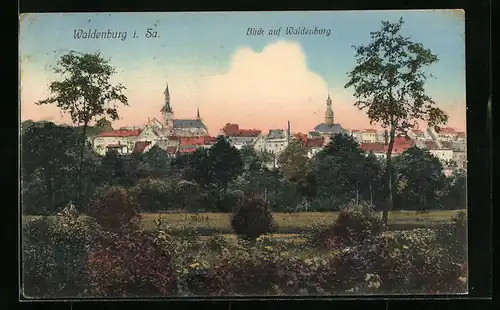 AK Waldenburg i. Sa., Blick auf Waldenburg