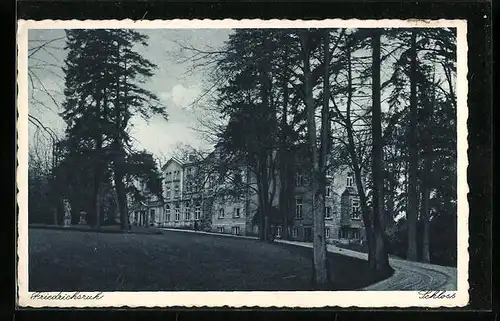 AK Friedrichsruh, Schloss