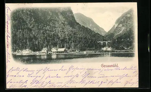 AK Gosaumühl, Panorama