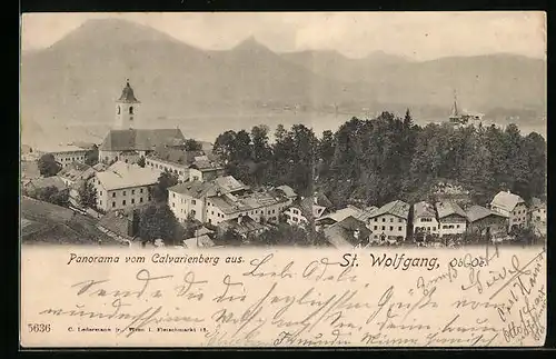 AK St. Wolfgang, Panorama vom Calvarienberg