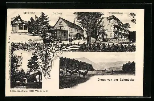 AK Suhl, Gasthaus Schmücke, Pensionshaus, Speisesaal