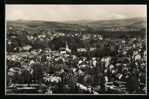 AK Sebnitz i. Sa., Gesamtansicht