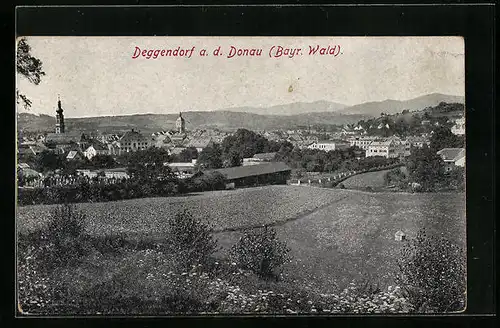 AK Deggendorf a. d. Donau /Bayer. Wald, Teilansicht