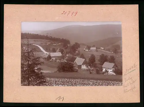 Fotografie Brück & Sohn Meissen, Ansicht Schellerhau i. Erzg., Blick auf den Ort mit Gutshöfen