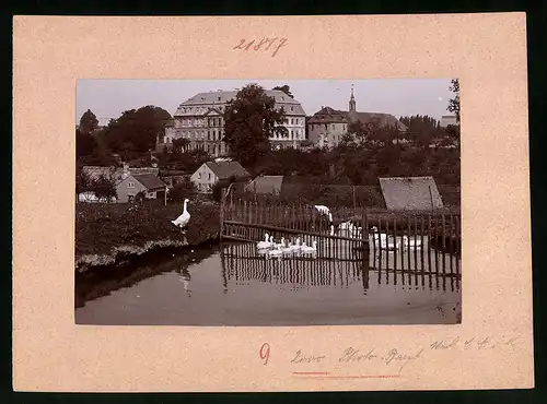 Fotografie Brück & Sohn Meissen, Ansicht Mittweida, Gänseteich mit Blick auf das Rittergut Neusorge