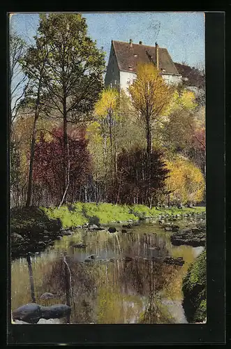 Künstler-AK Photochromie Nr. 2281: Uferpartie mit Bäumen