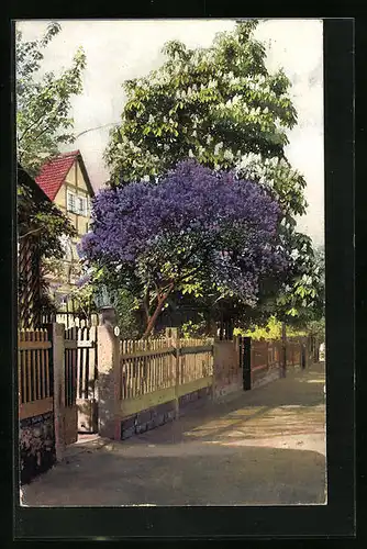 Künstler-AK Photochromie Nr. 2751: Strassenpartie mit Fachwerkhaus und Bäumen