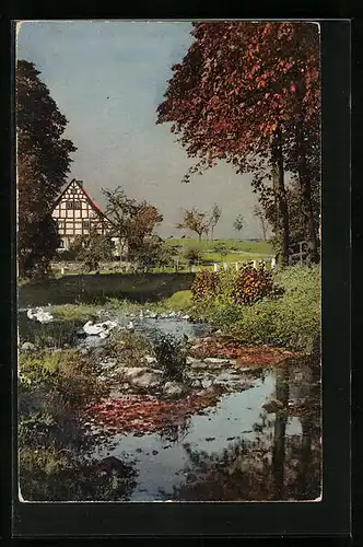 Künstler-AK Photochromie Nr. 2297: Ortspartie mit Fachwerkhaus und Teich