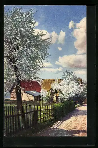Künstler-AK Photochromie Nr. 4278: Landstrasse mit Häusern bei Baumblüte