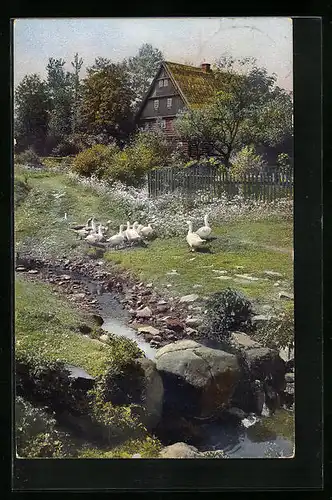 Künstler-AK Photochromie Nr. 1968: Wohnhaus mit Gänsen