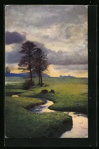 Künstler-AK Photochromie Serie 273 Nr. 4256: Ortspartie mit Bach und Bäumen