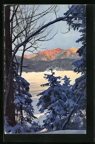 Künstler-AK Photochromie Serie 160 Nr. 2896: Winterliche Landschaft mit Bäumen