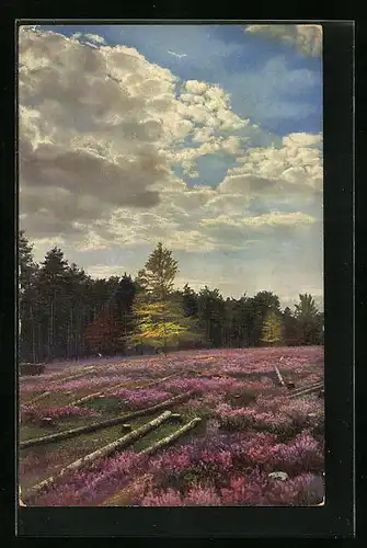 Künstler-AK Photochromie Nr. 3201: Partie am Wald mit Baumstämmen