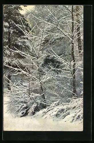 Künstler-AK Photochromie Nr. 2406: Ortspartie mit Bäumen im Schnee