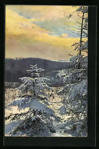 Künstler-AK Photochromie Nr. 2408: Winterliche Landschaft mit Tannen