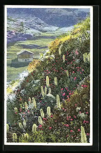 Künstler-AK Photochromie Nr. 1486: Ortspartie mit Haus und Alpenblumen