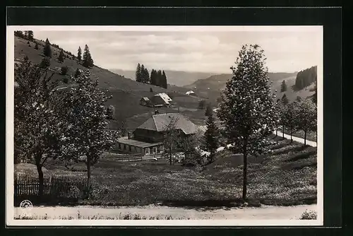 AK Neuglashütten /Hochschwarzwald, Gasthaus zum Grünen Baum
