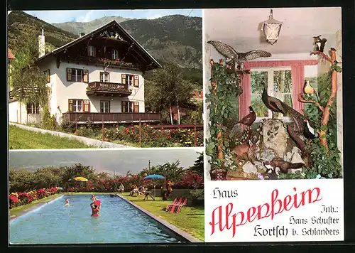 AK Kortsch bei Schlandes, Pension Haus Alpenheim, Innenansicht, Schwimmbecken