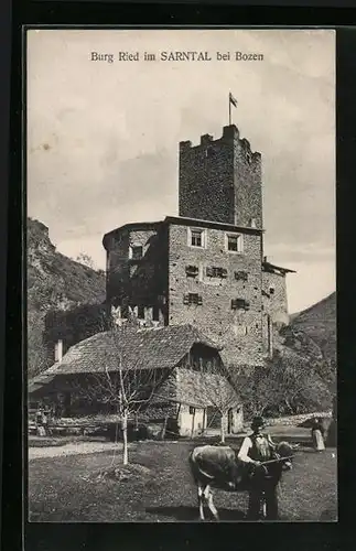 AK Bozen, Burg Ried im Sarntal