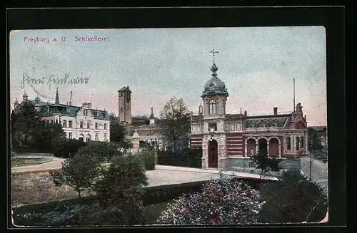 AK Freyburg a. U., Sektkellerei