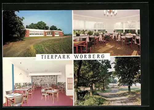 AK Thüle, Tierpark-Café Worberg