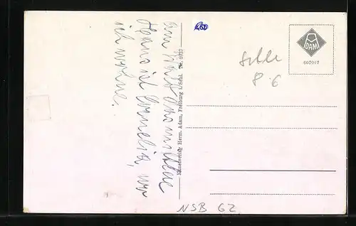 AK Bad Reinerz, Villen Schlesierhaus, Idylle, Cornelia, Königin Luise