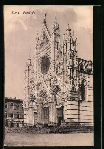 AK Siena, Cattedrale