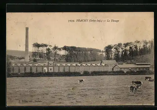 AK Brachy, Le Tissage