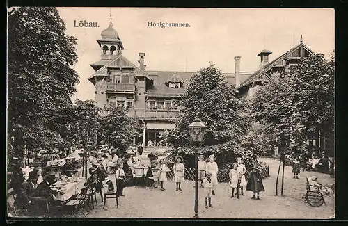 AK Löbau, Gasthaus Honigbrunnen