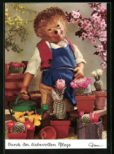 AK Mecki kümmert sich um seine Kakteen