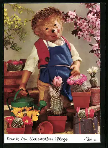 AK Mecki freut sich über die blühenden Kakteen