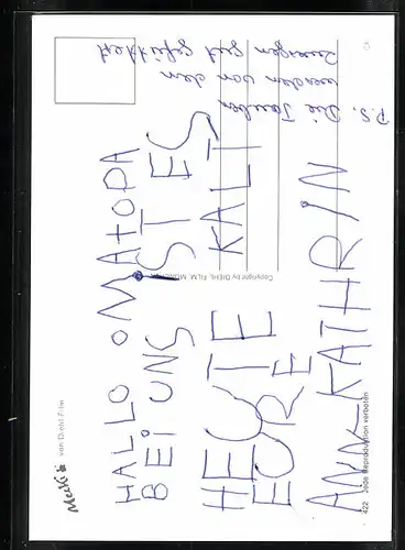 AK Mecki sitzt schlafend im Garten