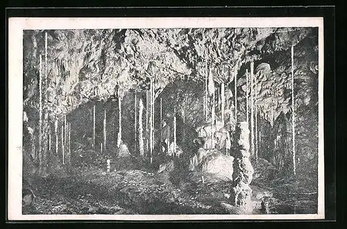 AK Stalagmitenwäldchen von Westen aus gesehen, Höhle