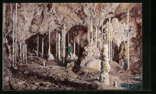 AK Macocha, Katharinengrotte, Stalagmitenwäldchen