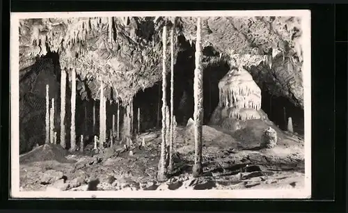 AK Moravský Kras, Katerinská jeskyne, Höhle