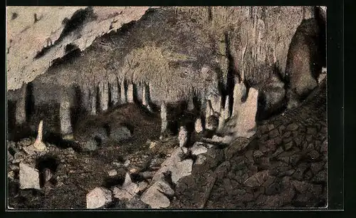 AK Rübeland / Harz, Hermannshöhle, Der Wald