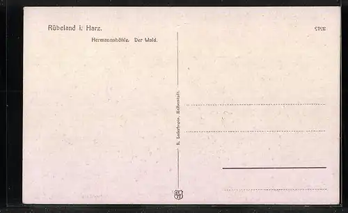 AK Rübeland / Harz, Hermannshöhle, Der Wald