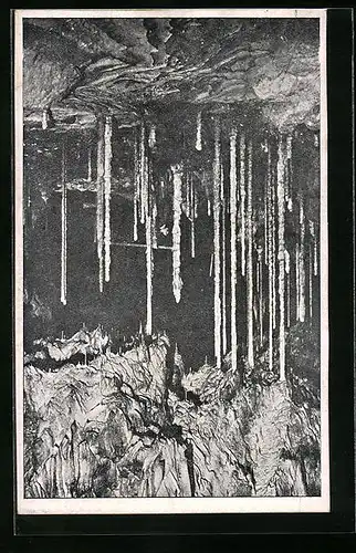 AK Anblick des Stalagmitenwäldchen von Norden aus, Höhle
