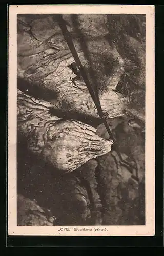 AK Brouskova jeskyne, Ovce, Höhle
