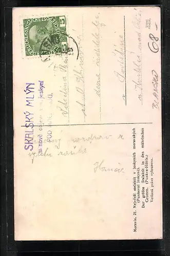 AK Blansko, Punkva-Höhle, Der grösste Stalaktit in den mährischen Grotten