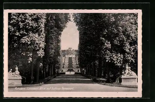 AK Potsdam, Schloss Sanssouci