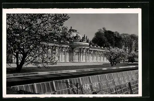 AK Potsdam, Schloss Sanssouci