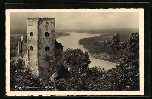 AK Greifenstein, Burg Greifenstein, Blick zur Donau
