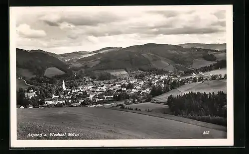 AK Aspang a. Wechsel, Gesamtansicht