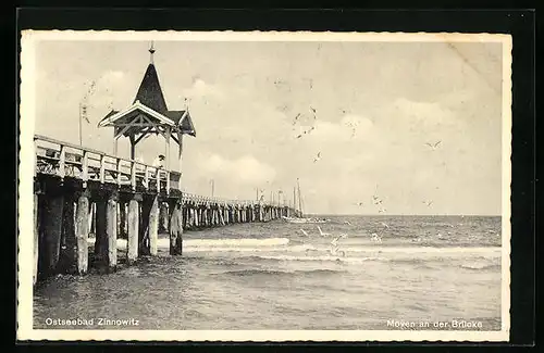 AK Zinnowitz / Ostsee, Möven an der Brücke