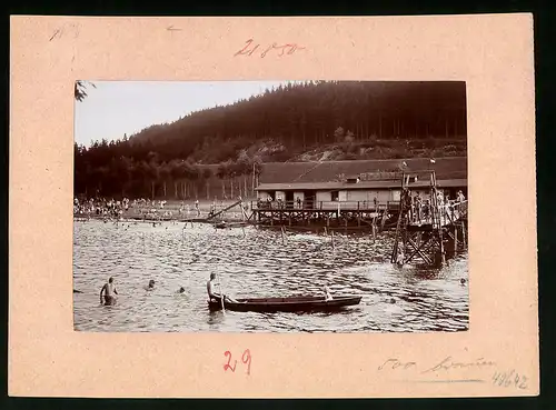 Fotografie Brück & Sohn Meissen, Ansicht Mittweida, Stadtbad - Freibad, Knaben beim Badespass