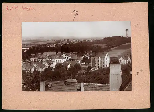 Fotografie Brück & Sohn Meissen, Ansicht Burgstädt, Stadtansicht mit Wettinpark