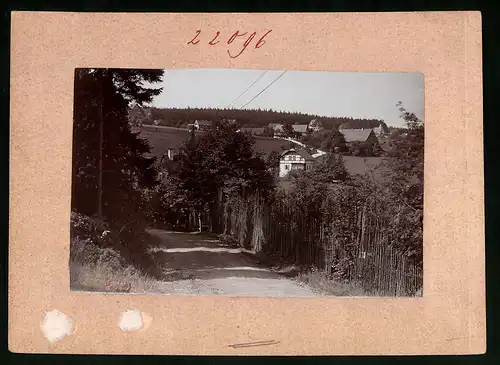 Fotografie Brück & Sohn Meissen, Ansicht Oberbärenburg i. Erzg., Waldweg mit Ziege und Blick zum Ort