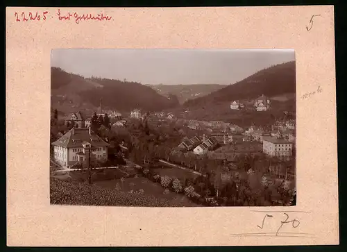 Fotografie Brück & Sohn Meissen, Ansicht Bad Gottleuba. Blick in den Ort mit Wohnhäusern