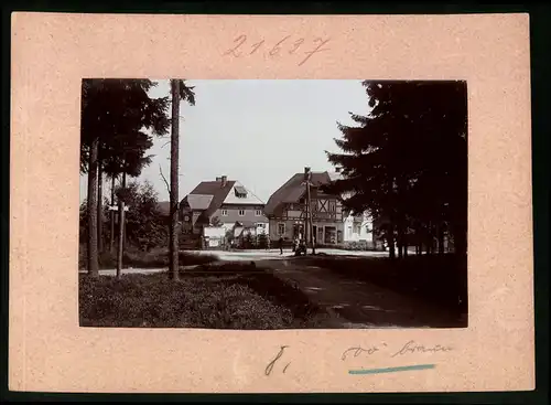 Fotografie Brück & Sohn Meissen, Ansicht Oberbärenburg i. Erzg., Partie an der Villa Sorgenfrei & Villa Bergeshöhe